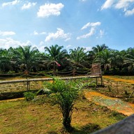 ครัวบ้านไร่ จิบกาแฟ แลควาย