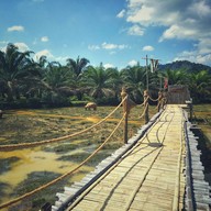 ครัวบ้านไร่ จิบกาแฟ แลควาย