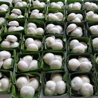 ซาลาเปานางเอก เลย