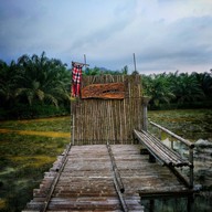 บรรยากาศ ครัวบ้านไร่ จิบกาแฟ แลควาย