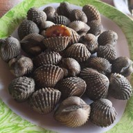 เมนูของร้าน ร้านครัวโพธิ์ทะเลซีฟู๊ด สาขลา