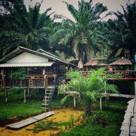 บรรยากาศ ครัวบ้านไร่ จิบกาแฟ แลควาย