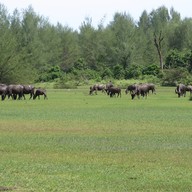 บรรยากาศ เกาะคอเขา