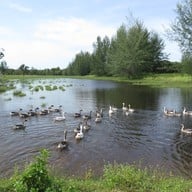 บรรยากาศ เกาะคอเขา