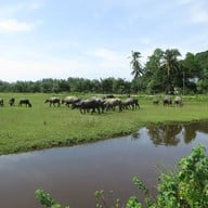 บรรยากาศ เกาะคอเขา