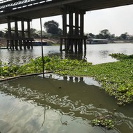 เรือนแพประมง