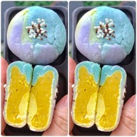 เมนูของร้าน Baimiang Healthy Shop ใบเมี่ยง โฮมโปร พระราม 2