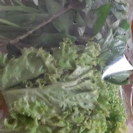 ครัวคุณมินอาหารเวียดนาม บางใหญ่ซิตี้