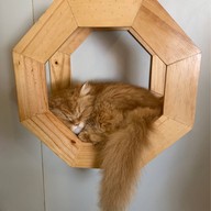 Cat Brothers Cafe