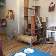 Cat Brothers Cafe
