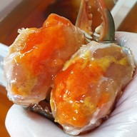 ปูดองโจรสลัด