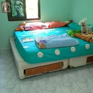 ลองคนละยำ ตลาดคนเดินสาย4