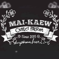 Maikaewoutletfarm