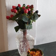 บรรยากาศ Humming Bird Tea cup หลังมหาวิทยาลัยขอนแก่น