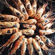 เจี๊ยบกุ้งเผา..เมี่ยงปลาเผา