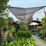 ก๋วยเตี๋ยวในสวน พิกัด ร้านณรงค์พันธุ์ไม้ ก๋วยเตี๋ยวสุโขทัยโบราณ