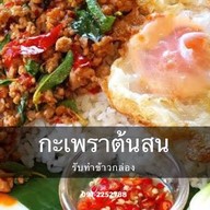 กะเพราต้นสน