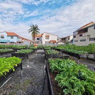 A family Farm veggie & cafe บ้านบัวทอง