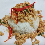 กระเพราตัวแตก25