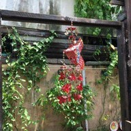 บ้านนางเลิ้ง