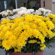 ผลไม้ปอกพร้อมทาน ผลไม้สดIrich Fresh Fruit เขาทุ่งวัว