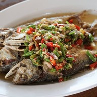 เมนูของร้าน ครัวปลาทู (ทิดอ้วน) บางแสน