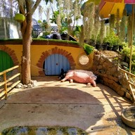 บ้านสวนน้อย รีสอร์ท (บ้านฮอบบิท)