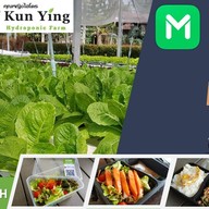 แม่หญิง โตเกียว