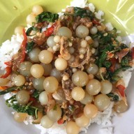 ใบเฟิร์นขนมจีนน้ำยากั้ง