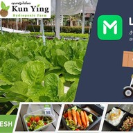 แม่หญิง โตเกียว