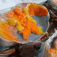 ปูนะจ๊ะ