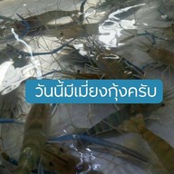 ร้านปลาเผาวินซิ่งง 1