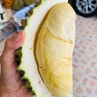 หมอนทองของอันดา