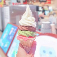 Owlvee Soft Central Rama 3