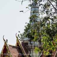บรรยากาศ ร้านหลักเมืองข้าวมันไก่ปราจีนบุรี (ศาลพระหลักเมือง ปราจีนบุรี) หลักเมืองข้าวมันไก่ปราจีนบุรี