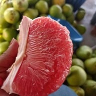 ส้มโอทับทิมสยาม สวนศุภสุขไพศาล