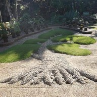 บรรยากาศ ดอยอ่างขาง