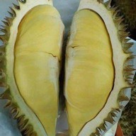 น้องผักบุ้งกวางตุ้งผลไม้ตามฤดูกาลตลาดฐานเพชรปทุม
