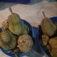 ทุเรียนสิมิรัน ปากคลองนา(หน้าหมู่บ้านโกเด้นทาว์