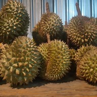 ทุเรียนสิมิรัน ปากคลองนา(หน้าหมู่บ้านโกเด้นทาว์