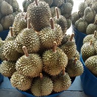 ทุเรียนสิมิรัน ปากคลองนา(หน้าหมู่บ้านโกเด้นทาว์