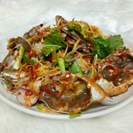 ชาใต้ ชาชัก