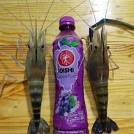 ครัวอังศนา(ต้นมิ้น) พัทยา