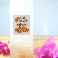 ยำแซ่บนัว เฟิร์น&พฤกษ์ และ น้ำสมุนไพร สาวเสมอ