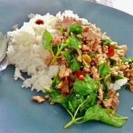 กระเพราโคขุนสามวา