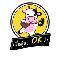 เนื้อตุ๋น หมูตุ๋น OK ป่ะ