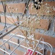 The Nine Coffee & Bakery