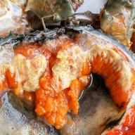 อ้วนปูดอง เสรีไทย (Seri Thai)