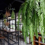 The Nine Coffee & Bakery