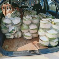 โฟกัส มะพร้าวปั่นนมสด เพื่อสุขภาพ